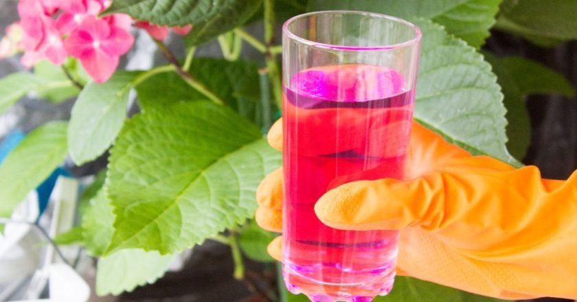 Почему запретили марганцовку