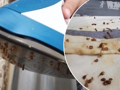 Как почистить утюг от накипи внутри?