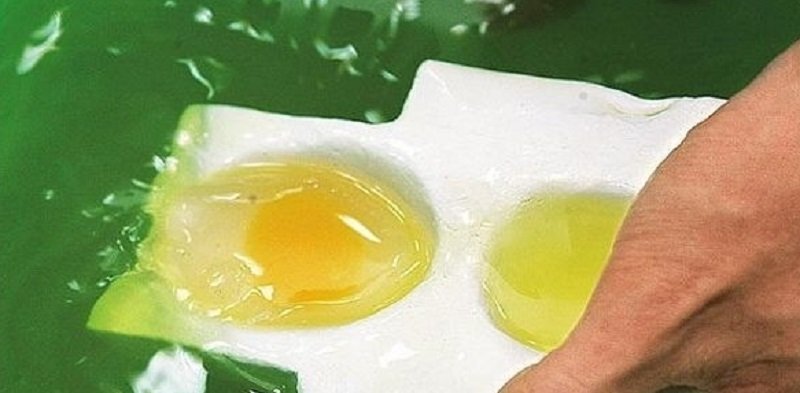 ненастоящие яйца