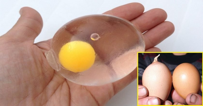 поддельные яйца