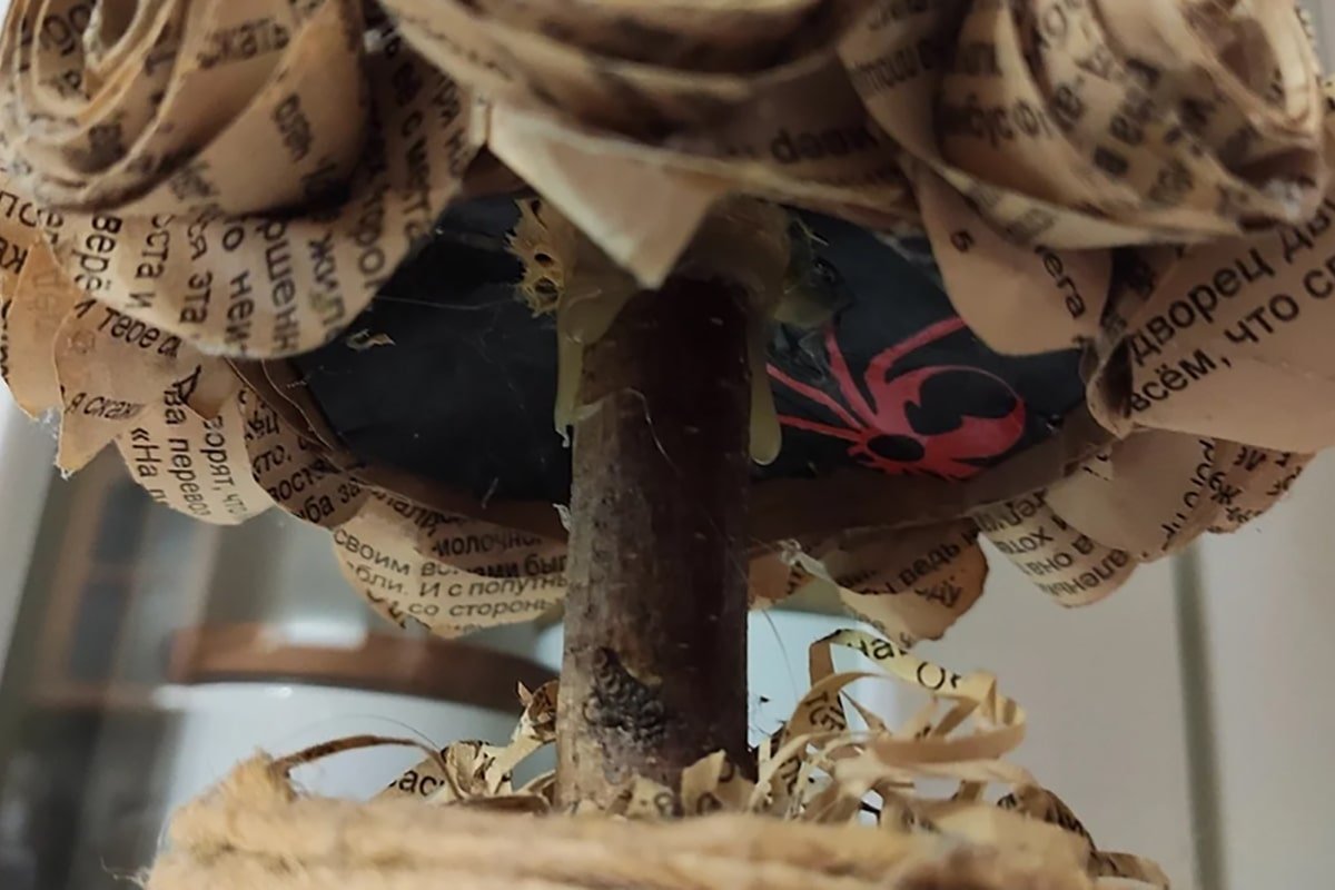 покрашенная розочка