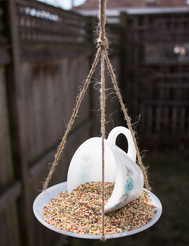 кормушка из чашки с блюдцем