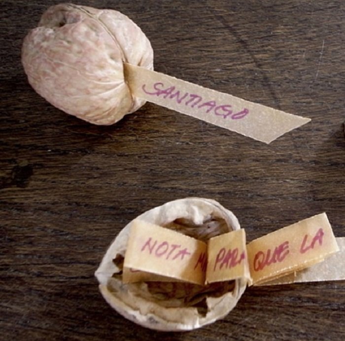 Поделки из ореховой скорлупы