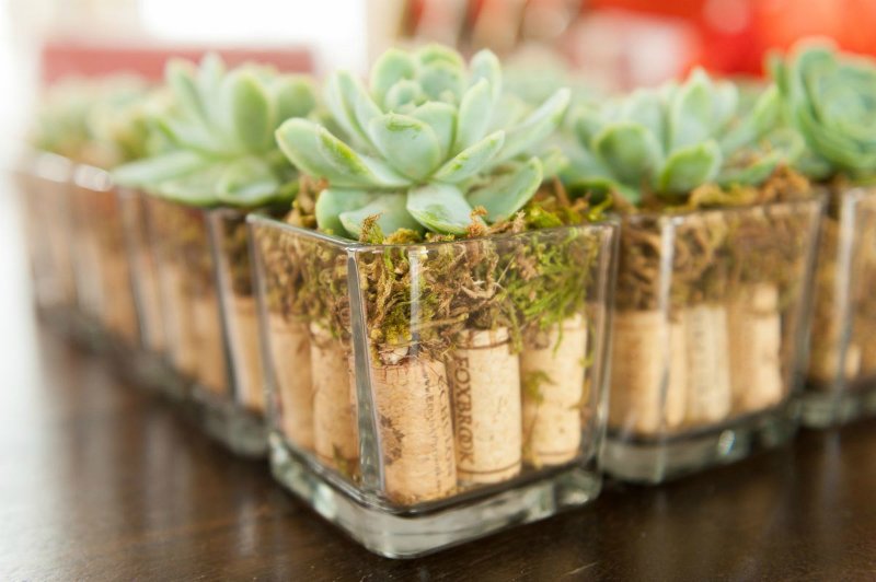 винные пробки для цветочного горшка