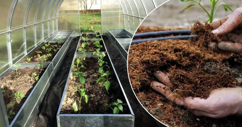 Подготовка почвы в теплице