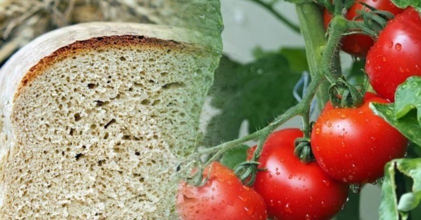 подкормка хлебом