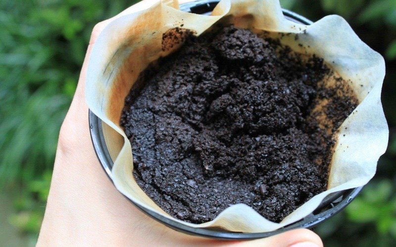 кофейная гуща для почвы