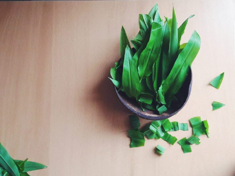 Полезные свойства черемши