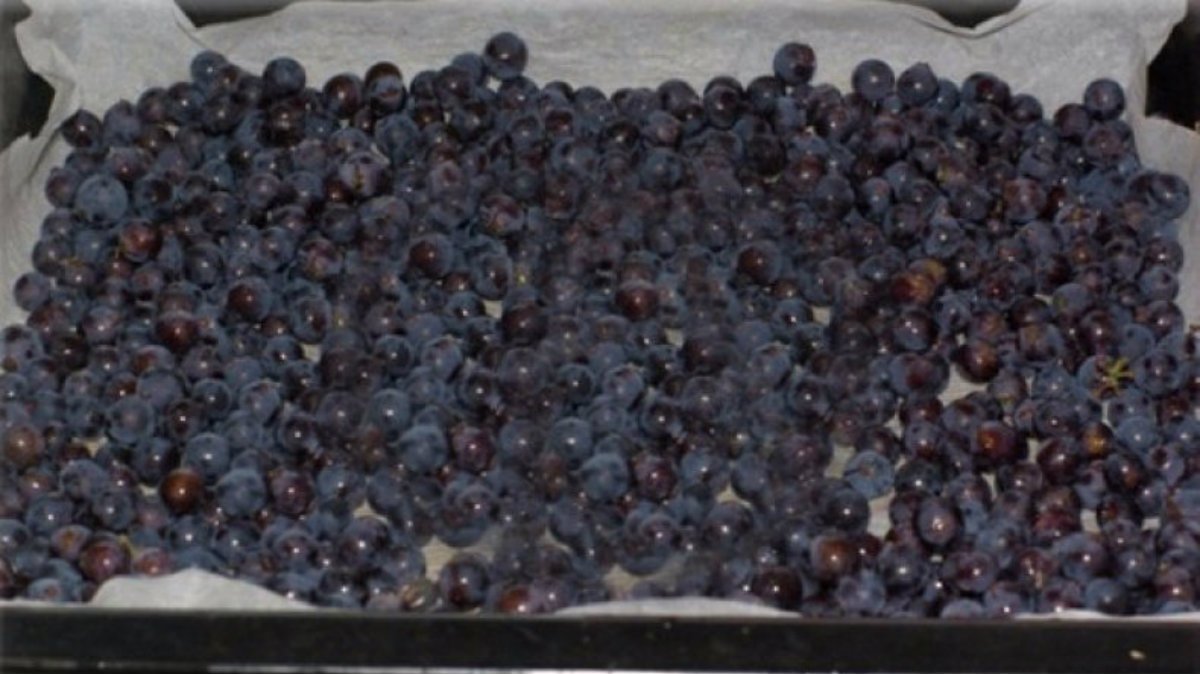 изюм в духовке