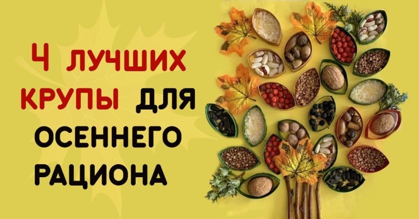крупы для осени