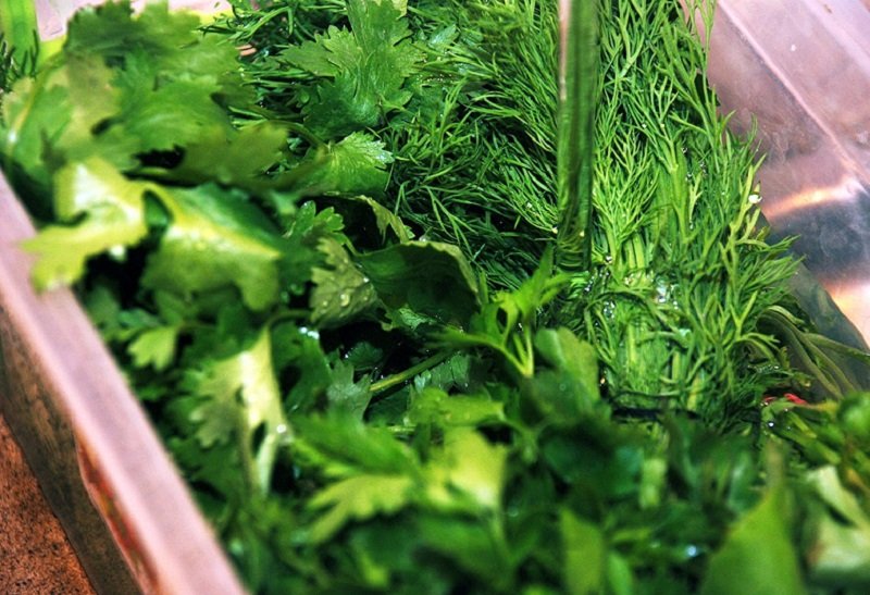 как хранить зелень