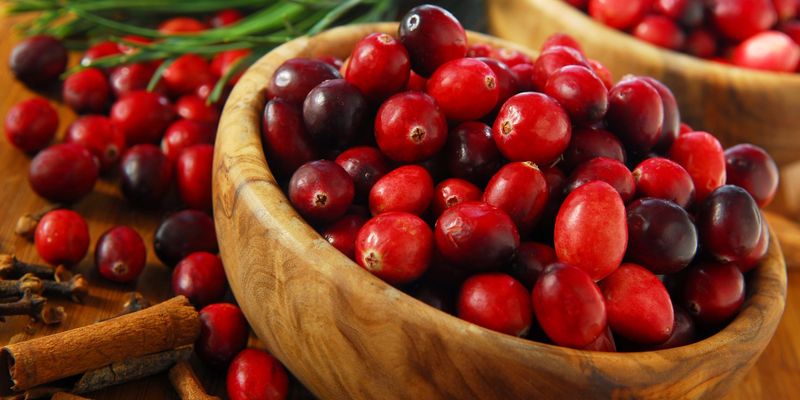 снимок ягод клюквы