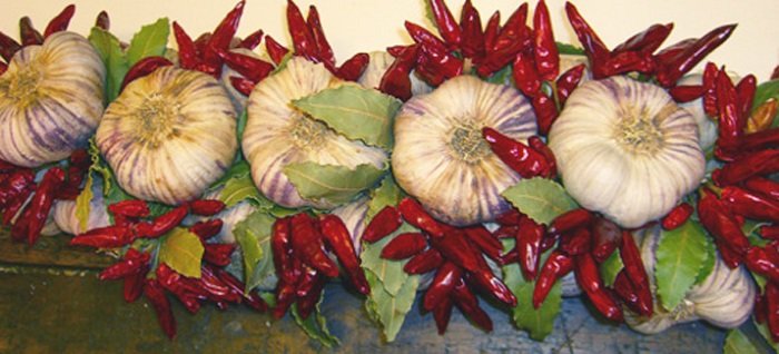 польза чеснока