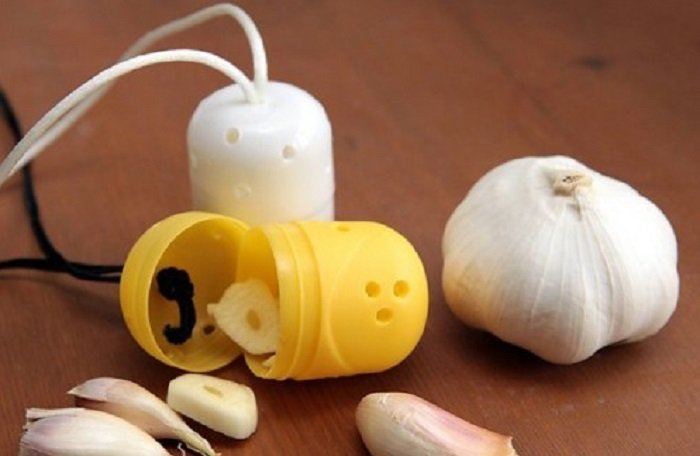 польза чеснока