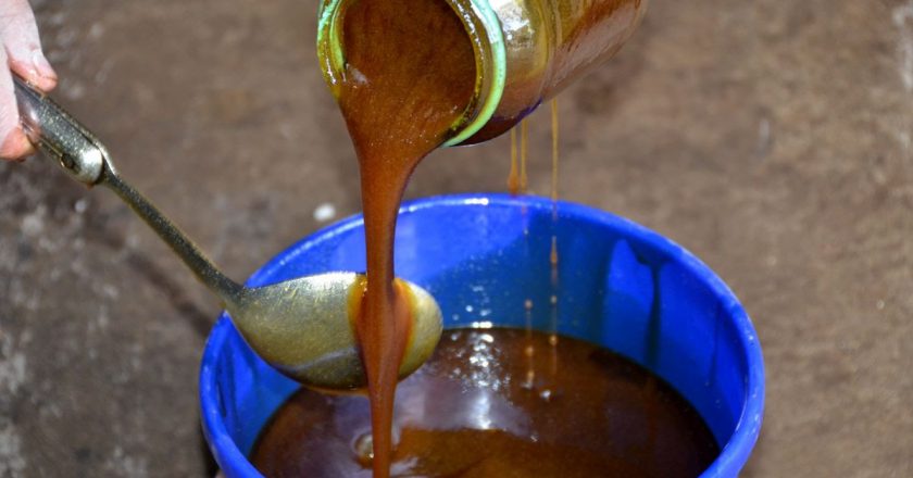 польза хлопкового масла