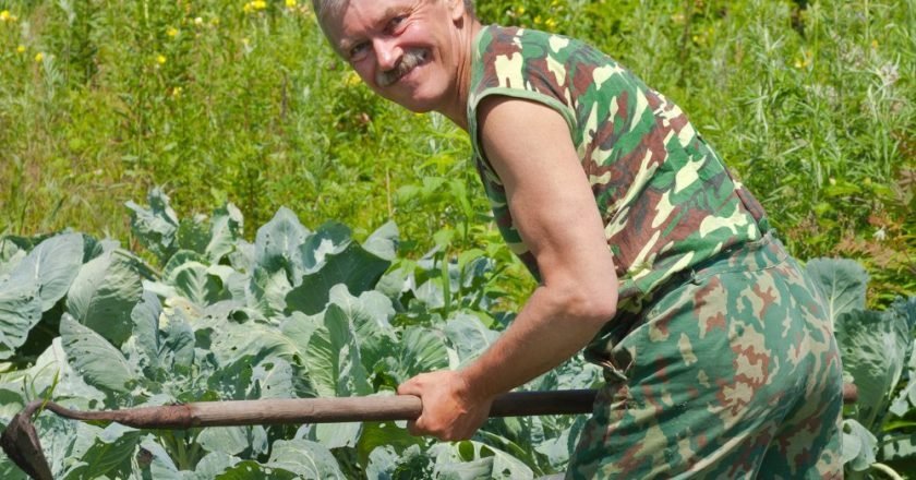 как поливать растения в огороде реже