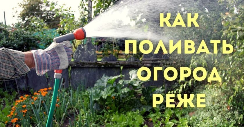 поливать растения в огороде реже
