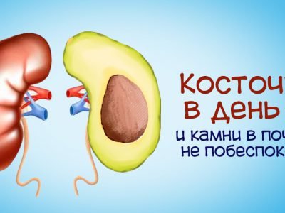 Польза авокадо для почек