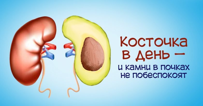 польза авокадо для почек
