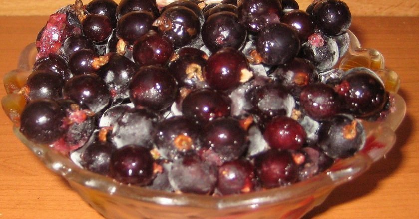 Польза черной смородины