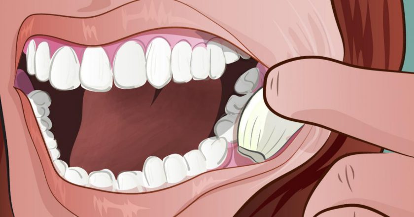 Польза чеснока для организма польза чеснока для организма