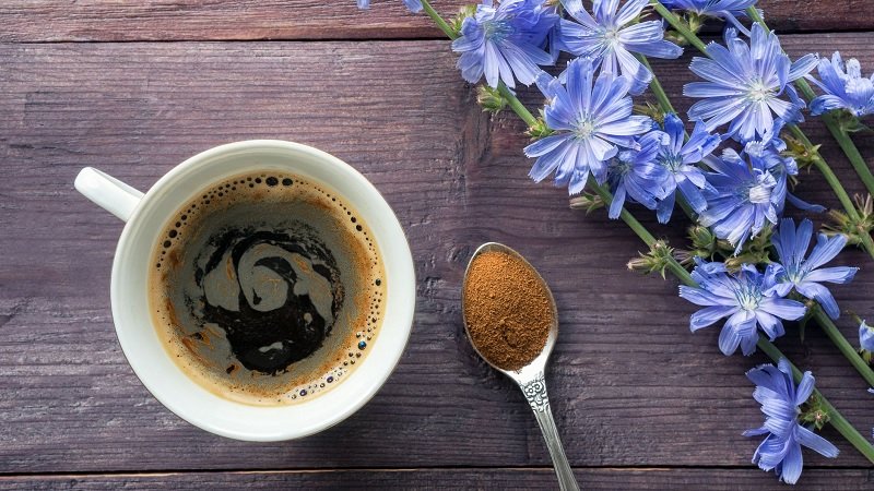 цикорий и похудение