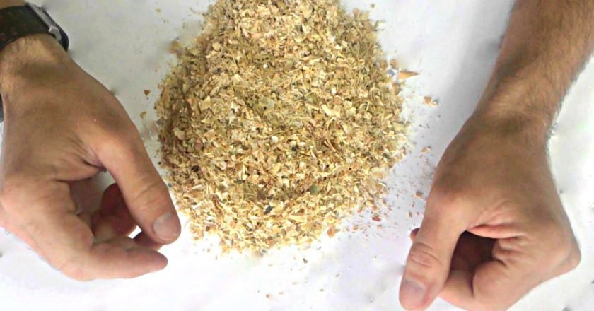 польза фасоли