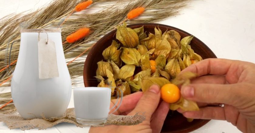 польза физалиса