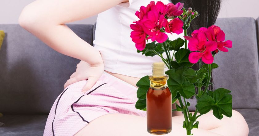 польза герани