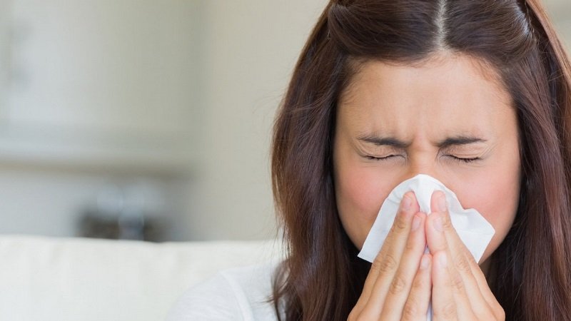 Польза каланхоэ