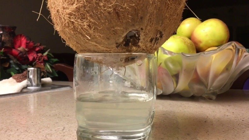 кокосовая вода