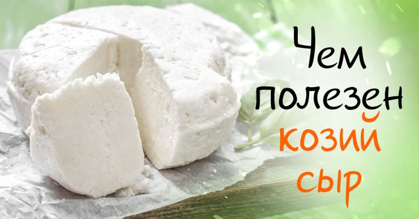 В чём заключается польза козьего сыра - Со Вкусом