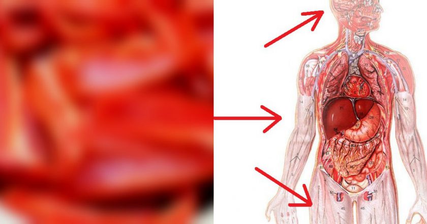 польза красного болгарского перца