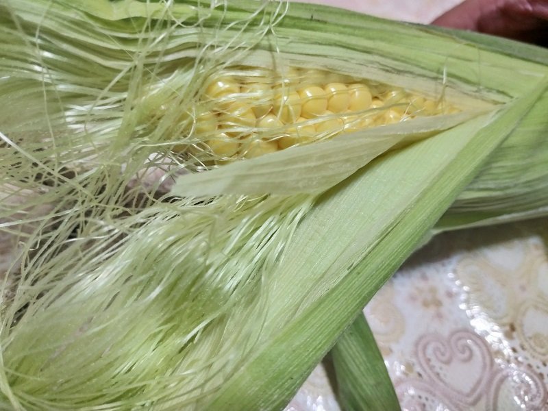 zalety liści kukurydzy