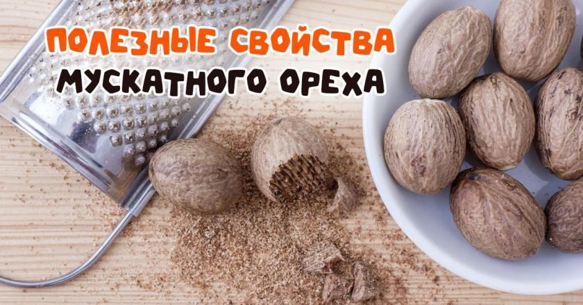Польза мускатного ореха для организма польза мускатного ореха