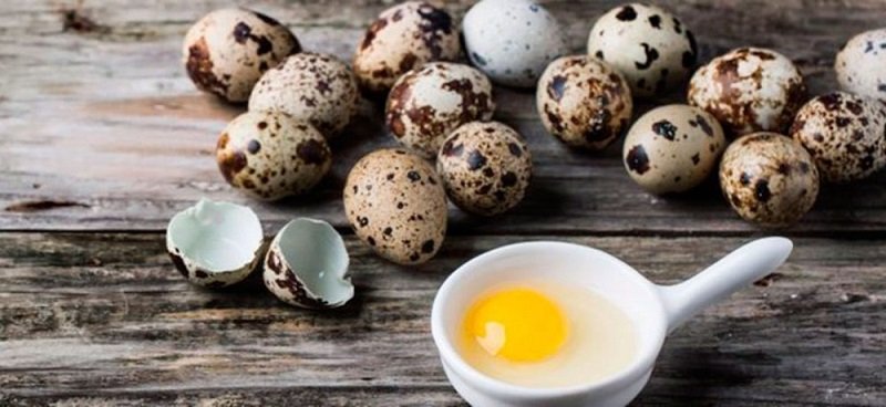 польза перепелиных яиц