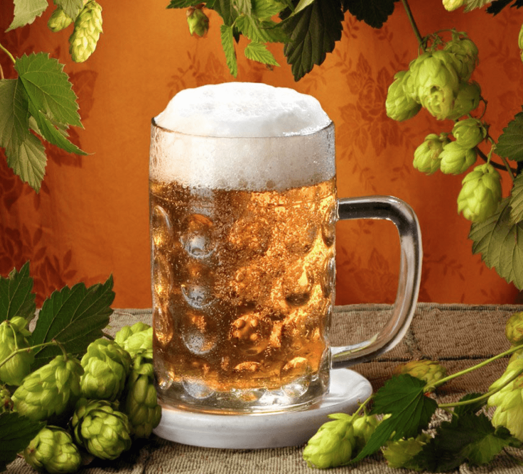 польза пива