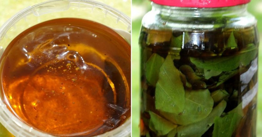 польза подорожника