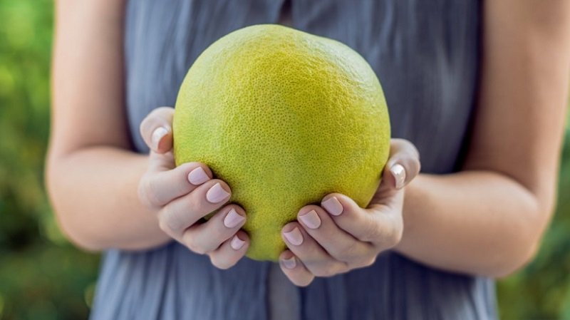 помело в руках фото