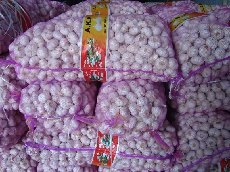 проросший чеснок польза 