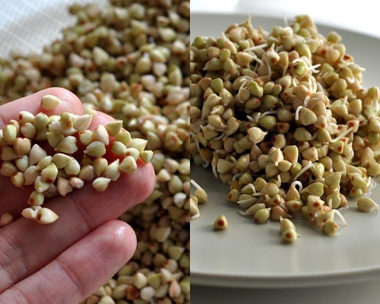 Польза проросших зерен