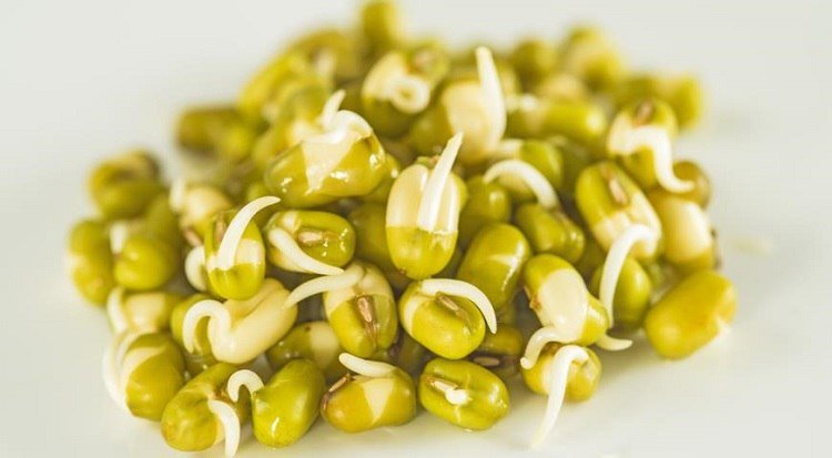 Польза проросших зерен