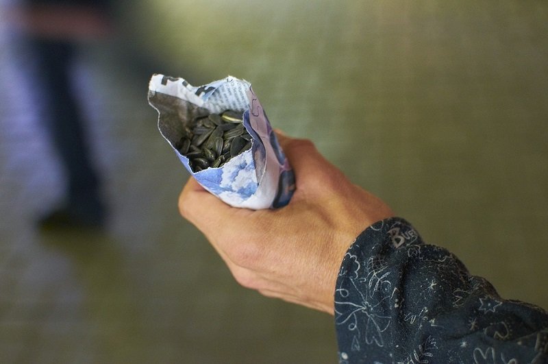 польза семечек для организма