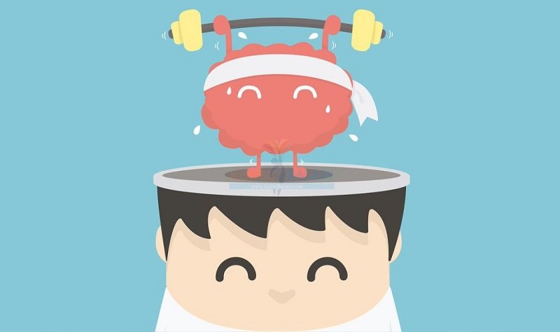 польза семечек для организма