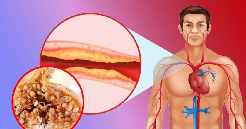 польза сухофруктов