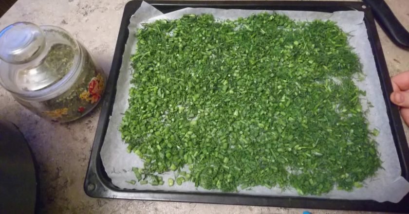 Польза сушеной зелени