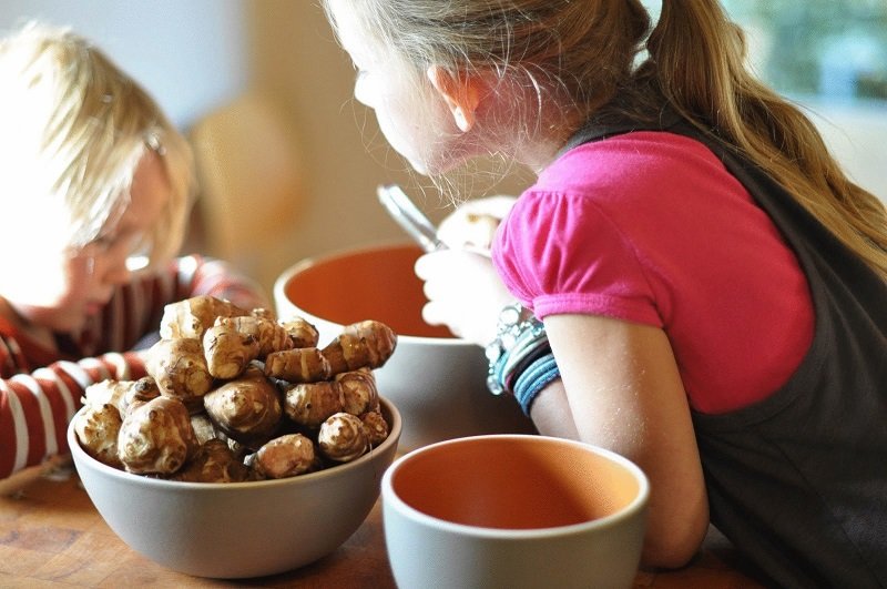 топинамбур для выносливости