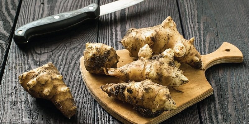 топинамбур для пищеварения