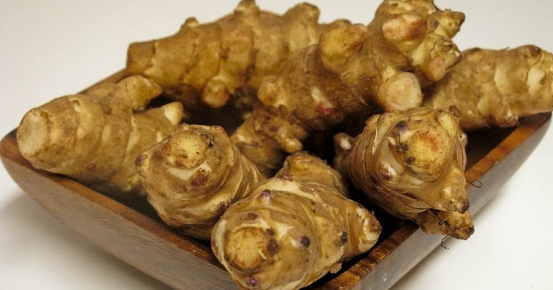 польза топинамбура для иммунитета