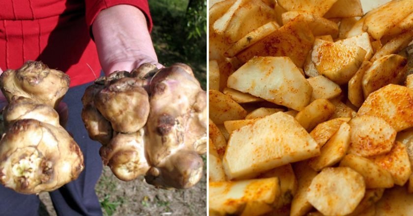 польза топинамбура